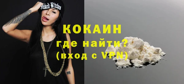 хмурый Осинники