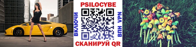 Купить закладки  Ачхой-Мартан  Псилоцибиновые грибы прущие грибы 